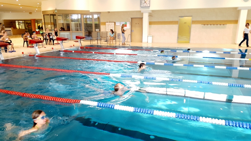 Wasserrattenschwimmen_W01.jpg